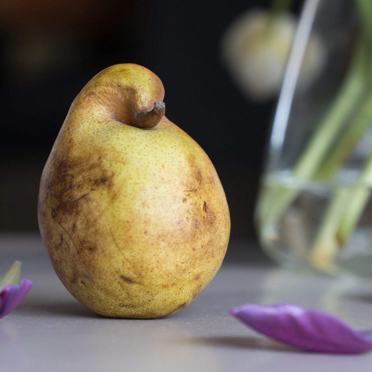 foto: [20190122PV6346-2]